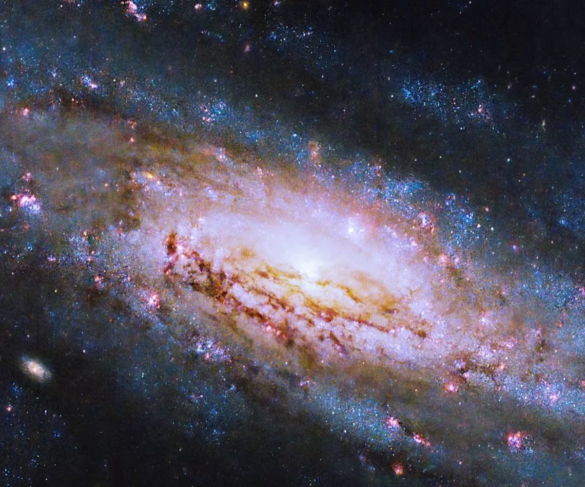 Bach, the Universe and Everything: The Beauty of Falling Bach, the Universe and Everything: The Beauty of Falling
