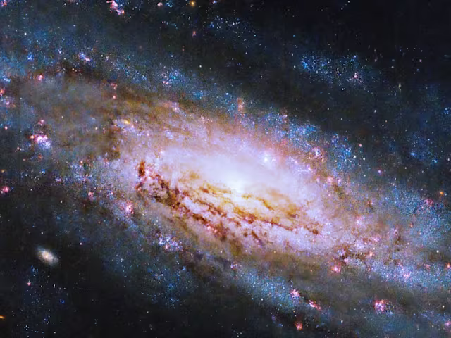 Bach, the Universe and Everything: The Beauty of Falling Bach, the Universe and Everything: The Beauty of Falling