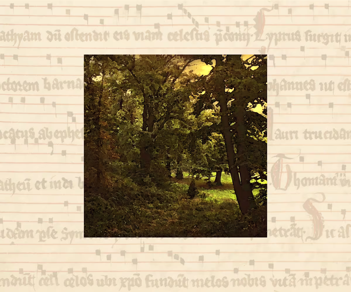 O Sweet Woods! O Sweet Woods!