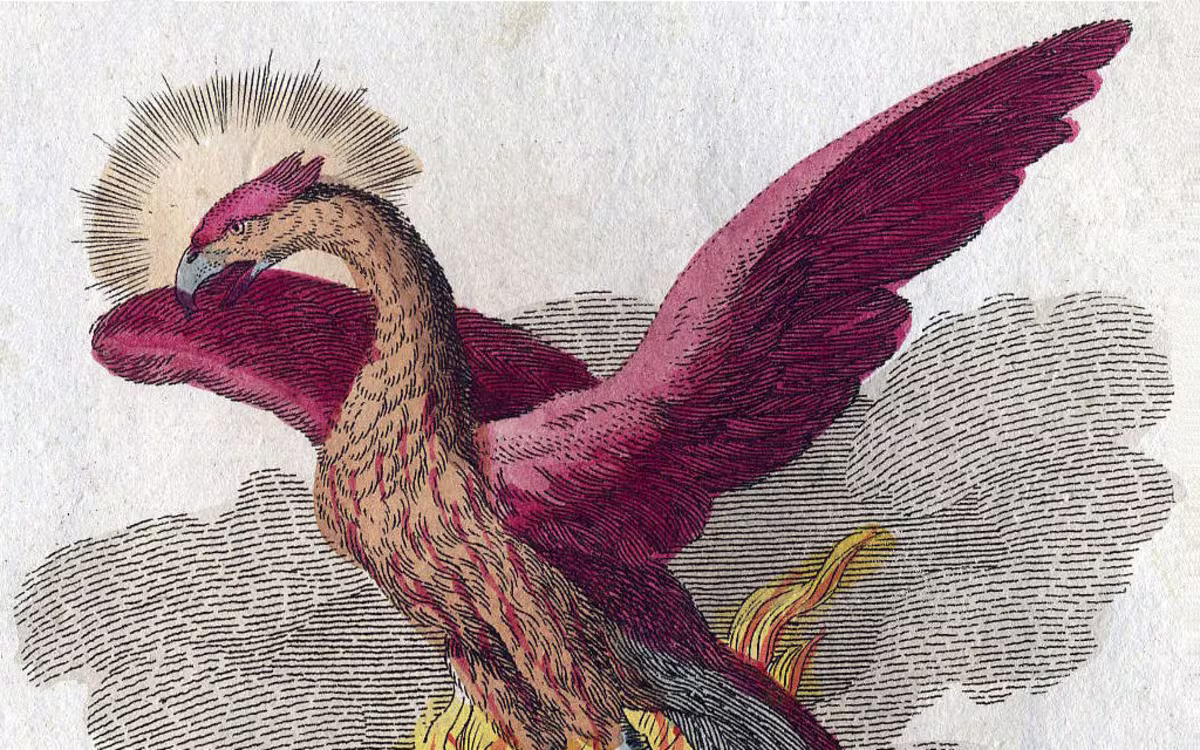 Rising from the ashes: Music for St Cecilia Rising from the ashes: Music for St Cecilia