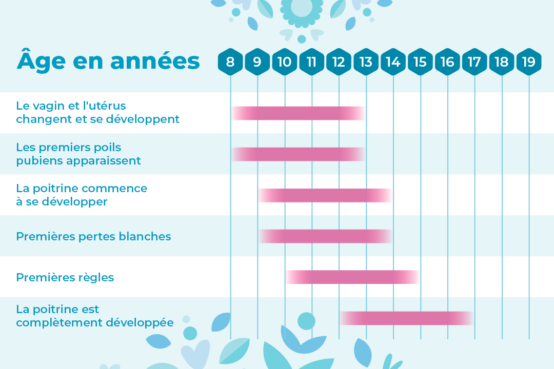 Tableau récapitulatif du déroulement de la puberté