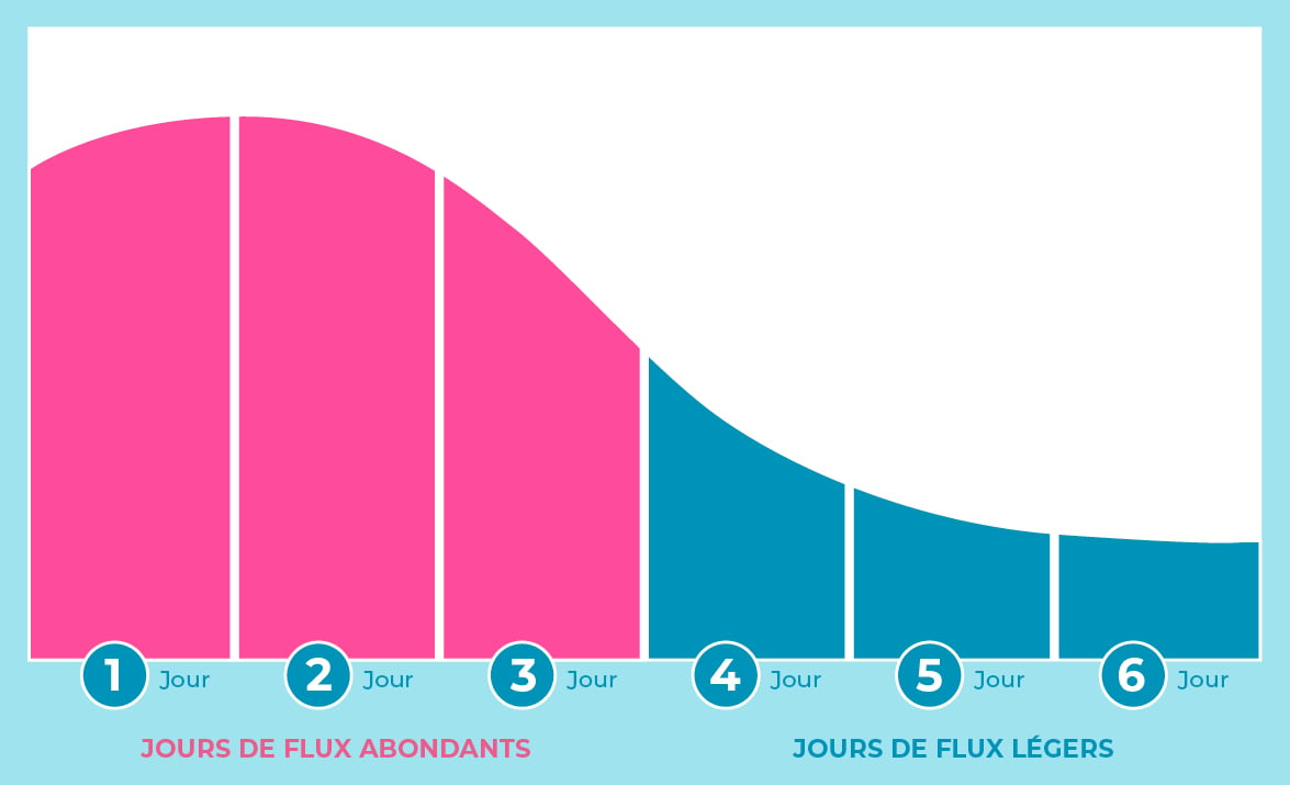 Typischer Periodenverlauf als Diagramm