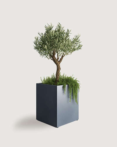 kvadratne 60 product image