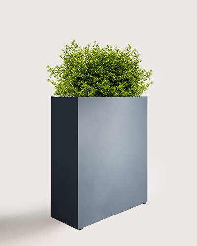 parapetne 30 product image