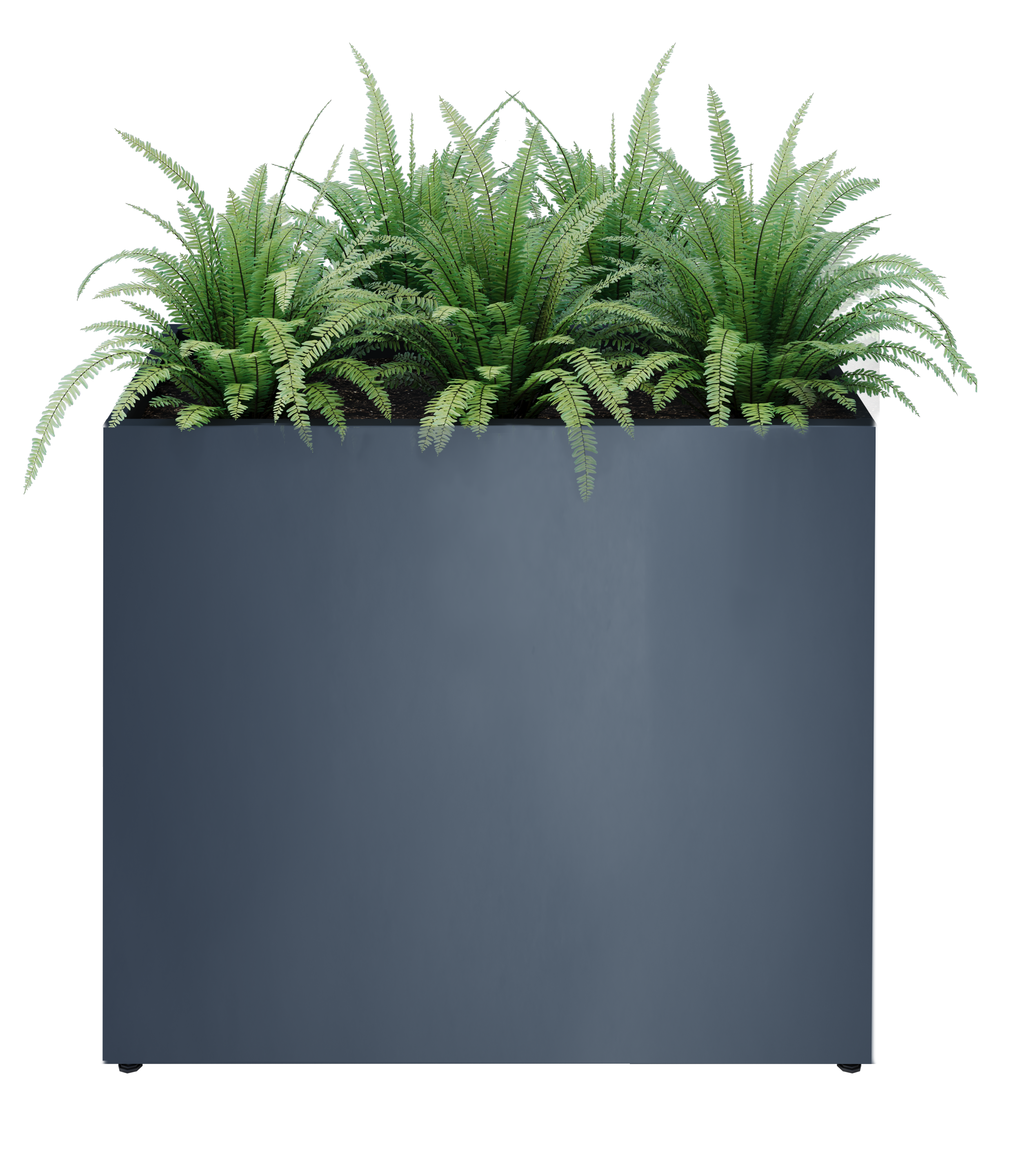 parapetne 40 model view