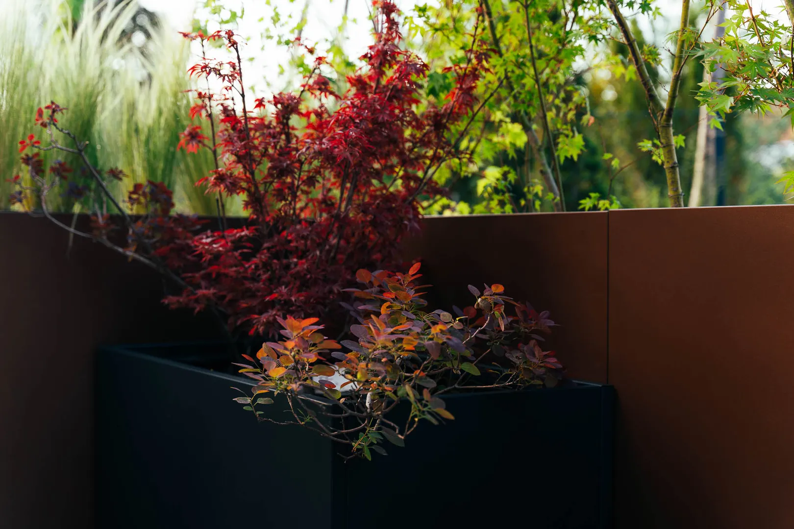 4. Zarinjere i sadnice jpg-desktop