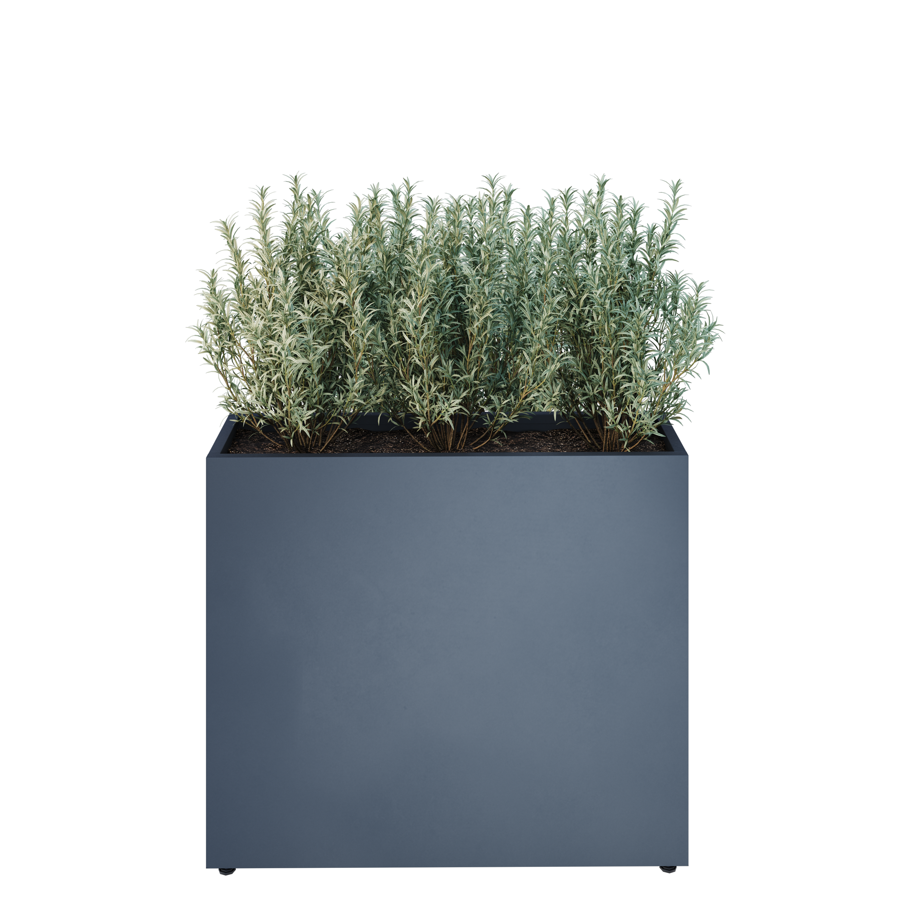 parapetne 30 model view