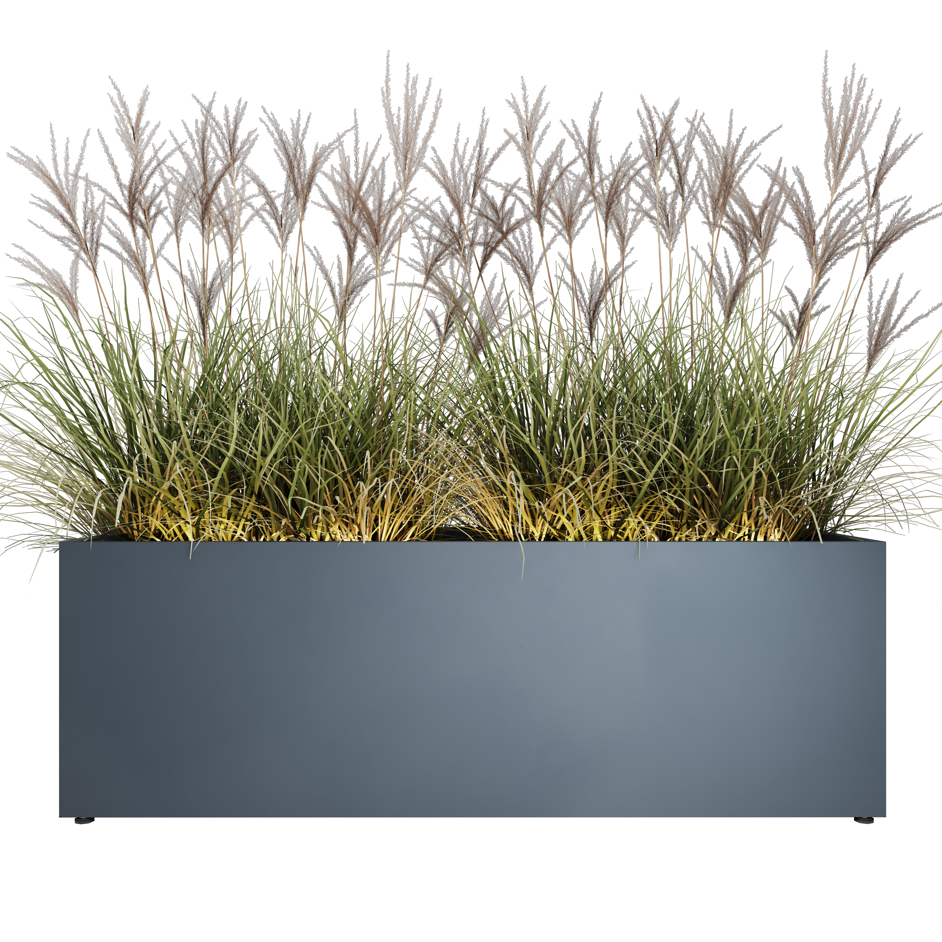 pravougaone 40 model view