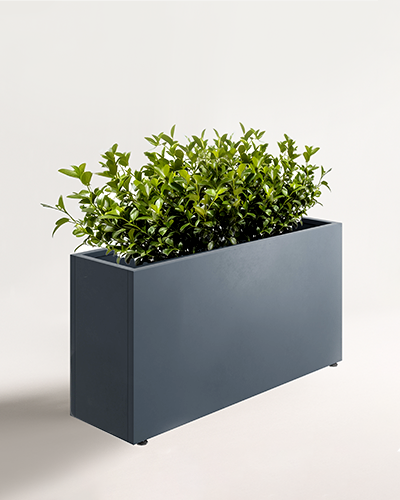 pravougaone 30 product image