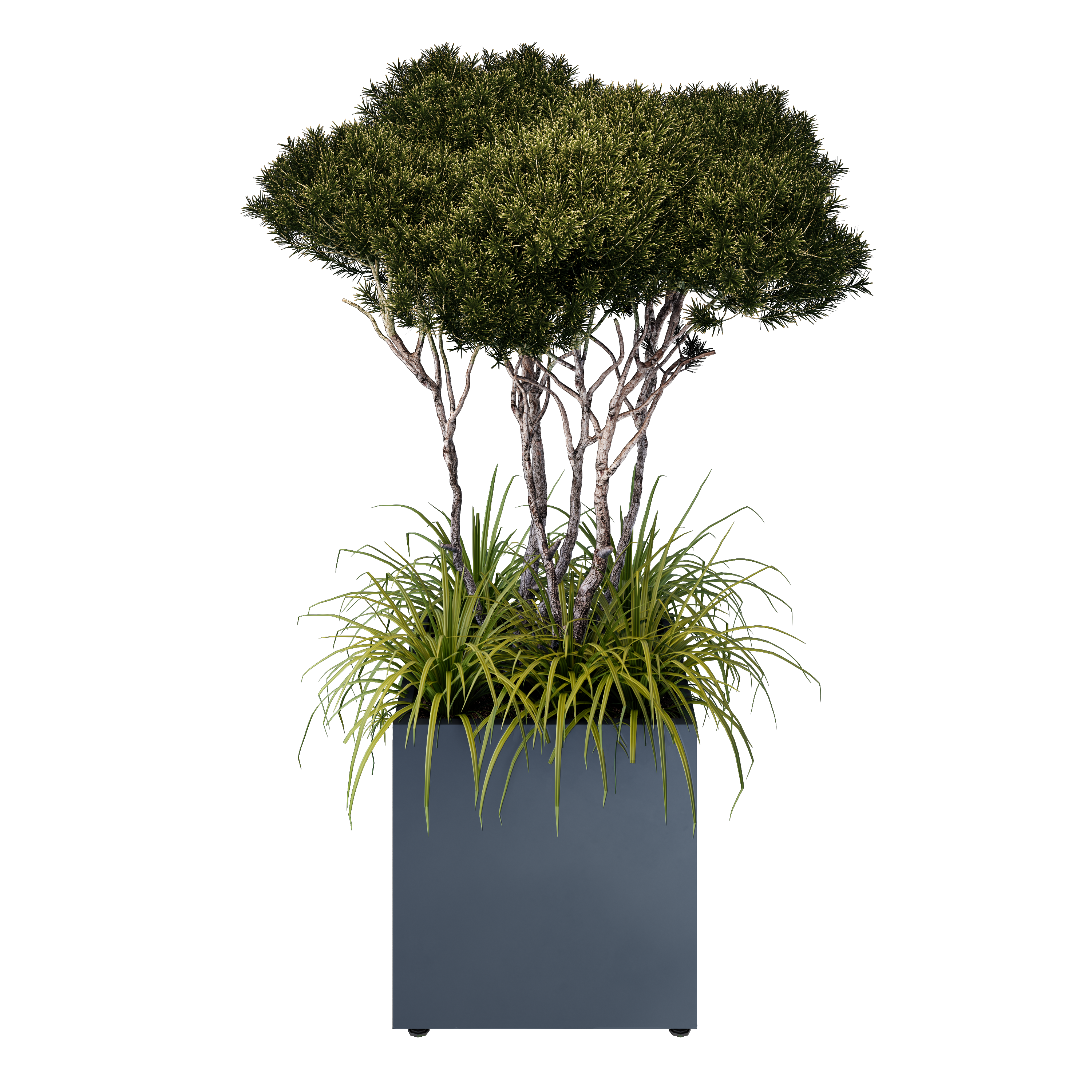 cetvrtaste 50 model view