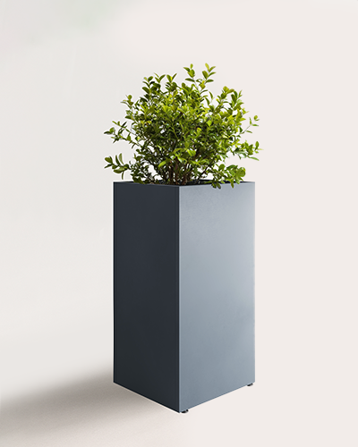 kvadratne jardiniera 50x100 cm