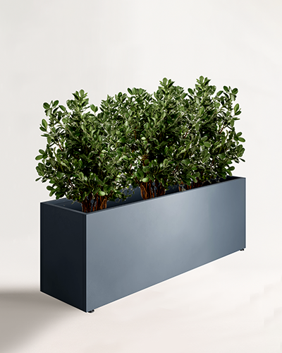 pravougaone jardiniera 150x50 cm