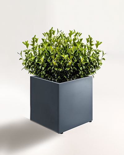 cetvrtaste jardiniera 50x50 cm