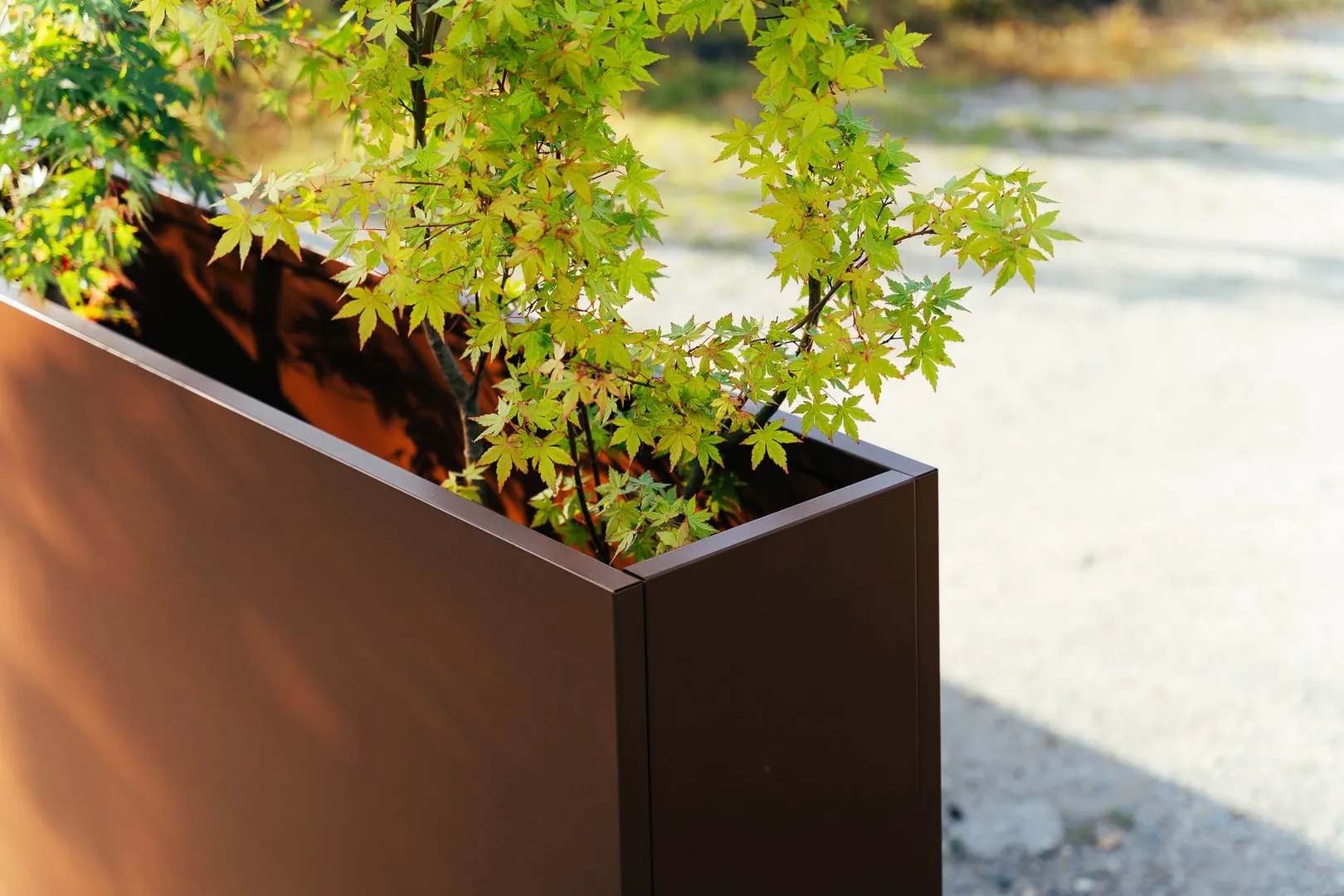 5. Zardinjera za sadnju jpg-desktop