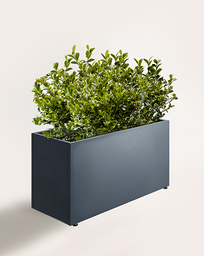 pravougaone 40 product image