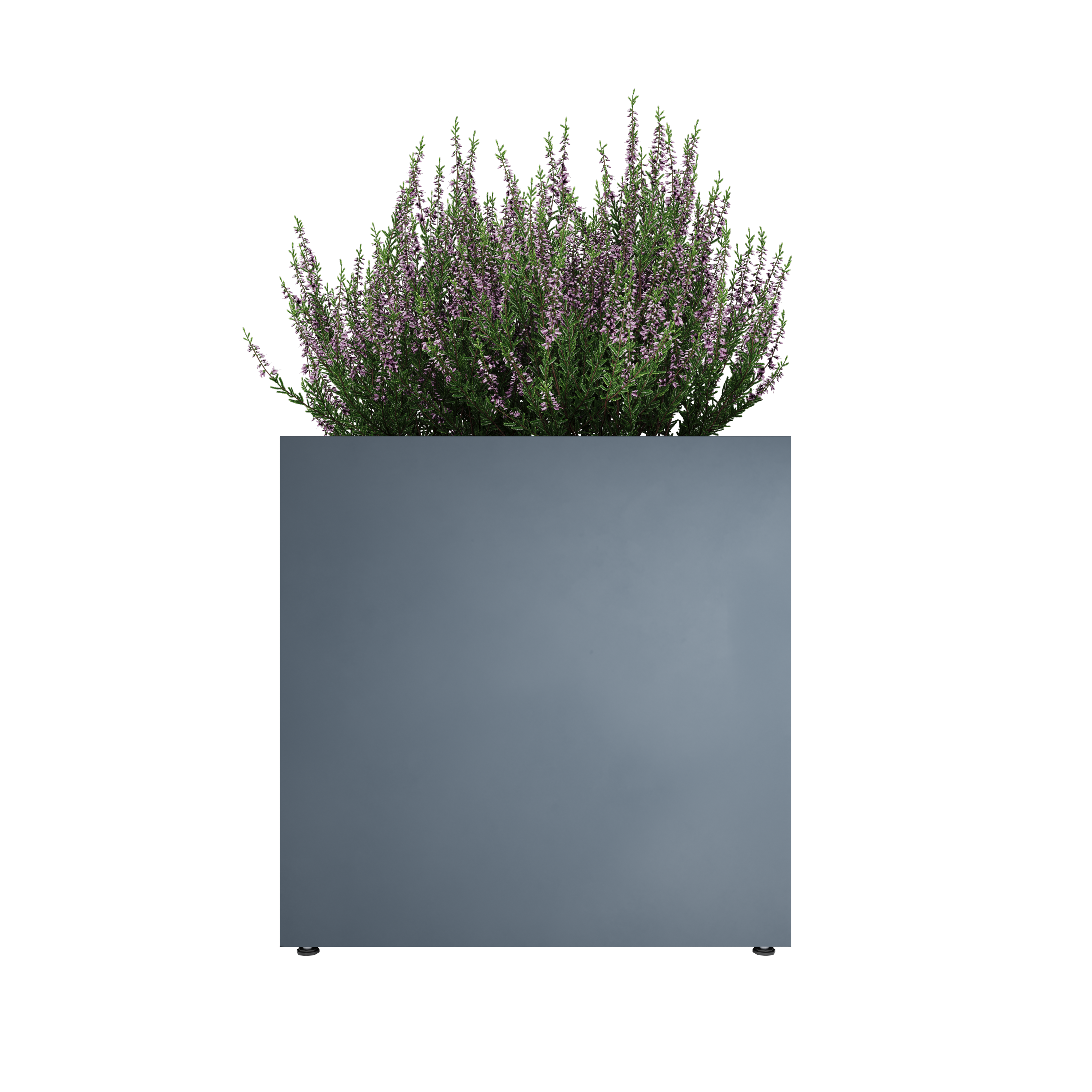 cetvrtaste 70 model view