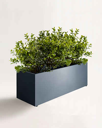 pravougaone jardiniera 150x50 cm