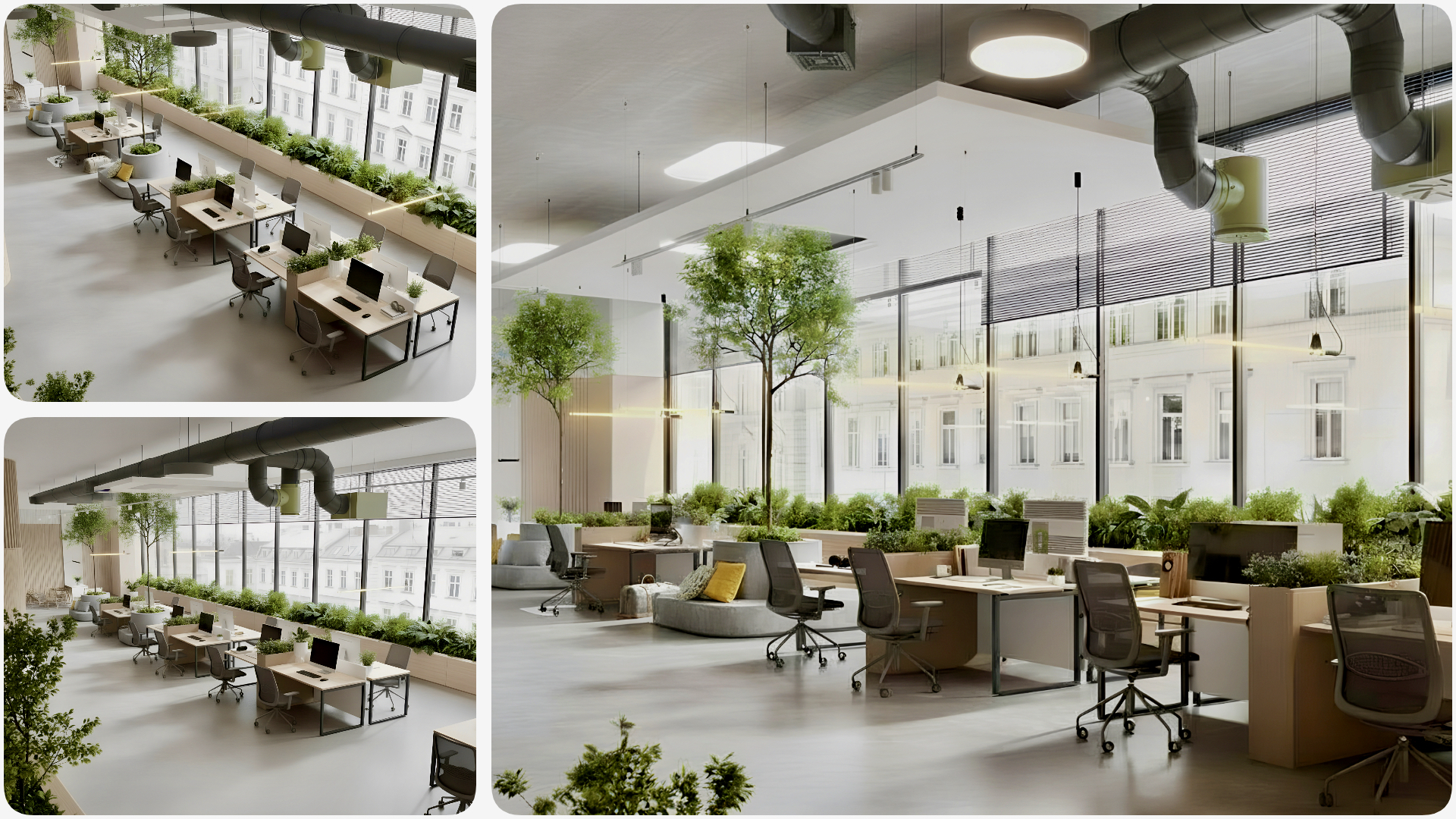 Blog image - Biljke u kancelariji su više od dekoracije