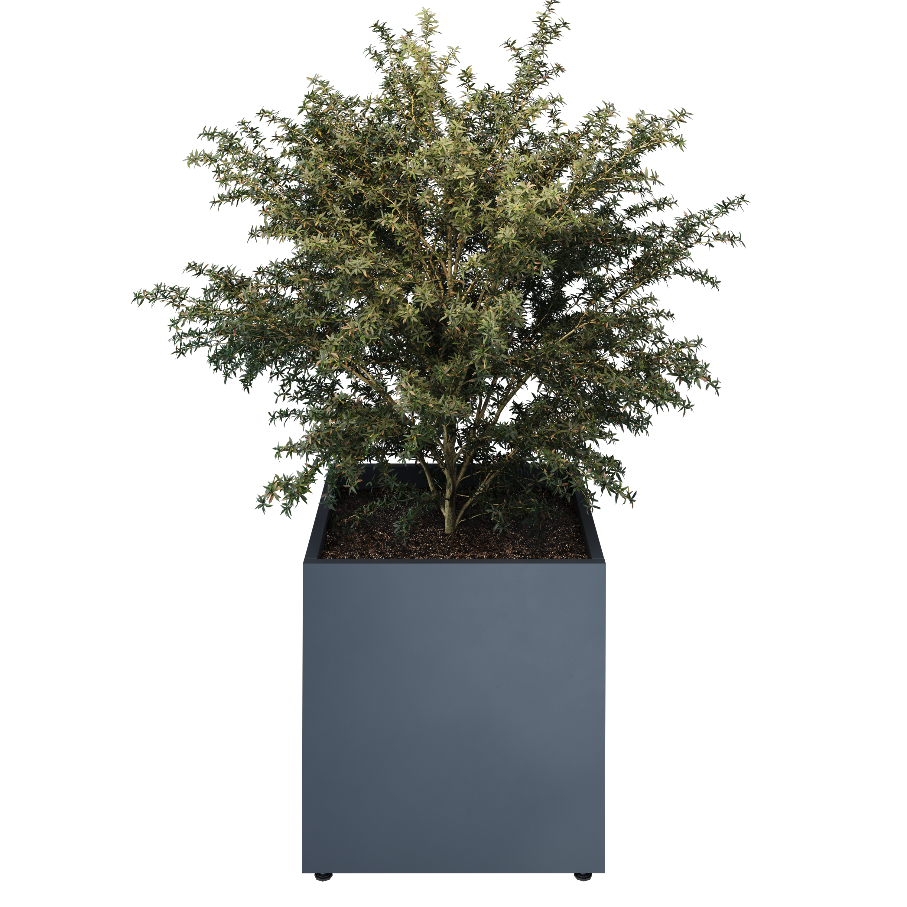 kvadratne 60 model view