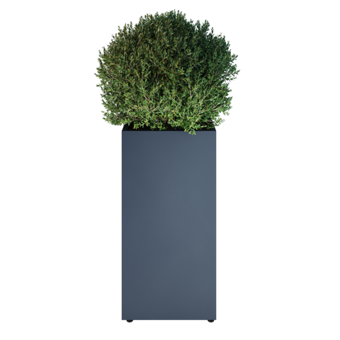 kvadratne 50 model view