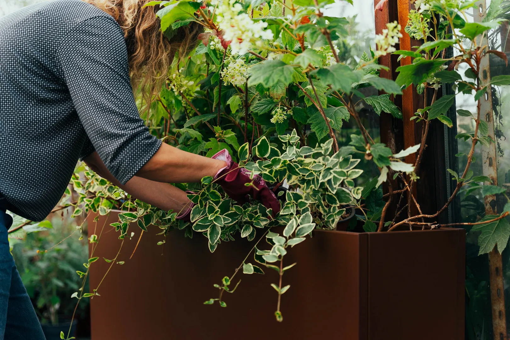 2. Sadnja cveca u zardinjere-desktop