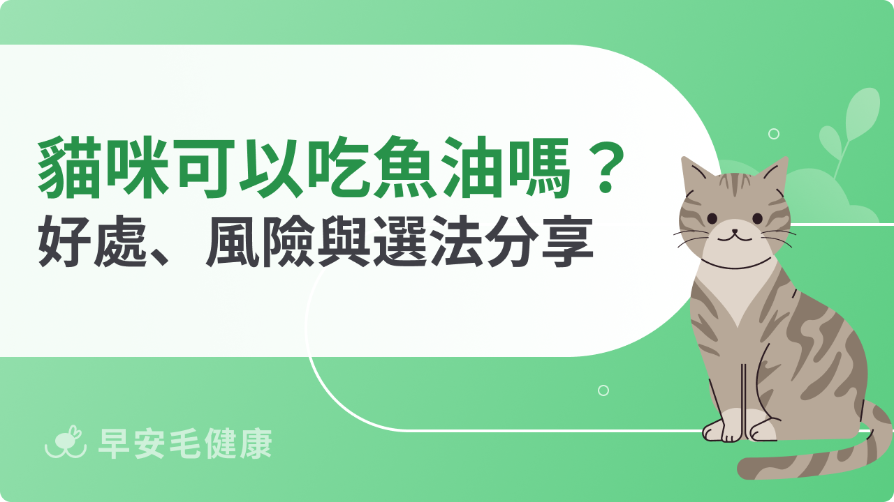 貓咪可以吃魚油嗎?選錯產品恐傷身,選對毛孩更健康!