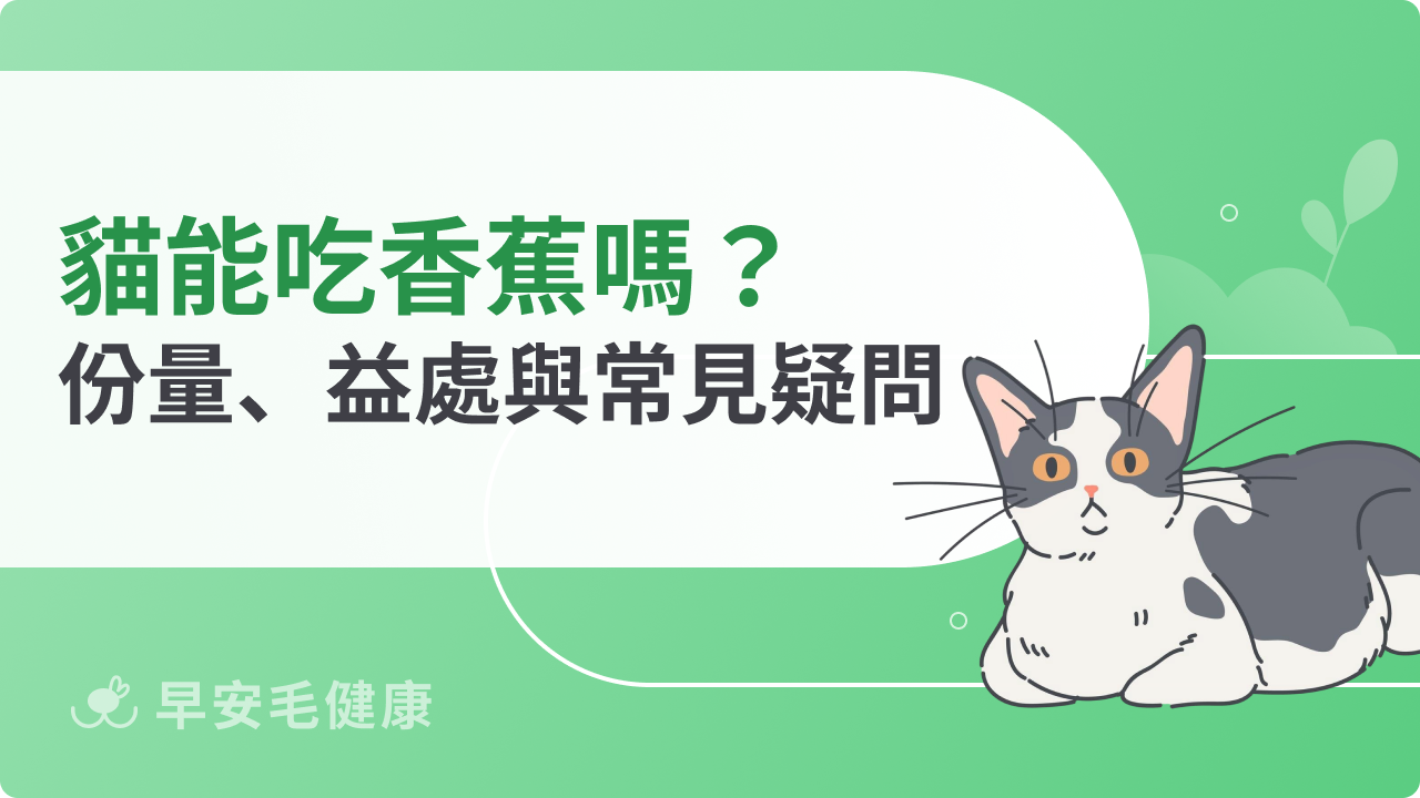 貓可以吃香蕉嗎?安全份量、營養益處與常見疑問解析