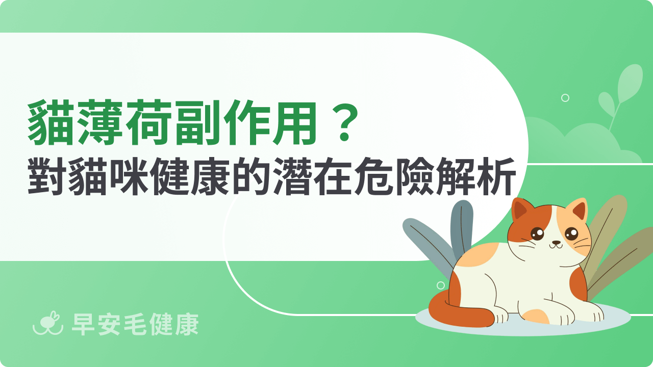貓薄荷副作用有哪些?過量使用對貓咪健康的潛在危險解析