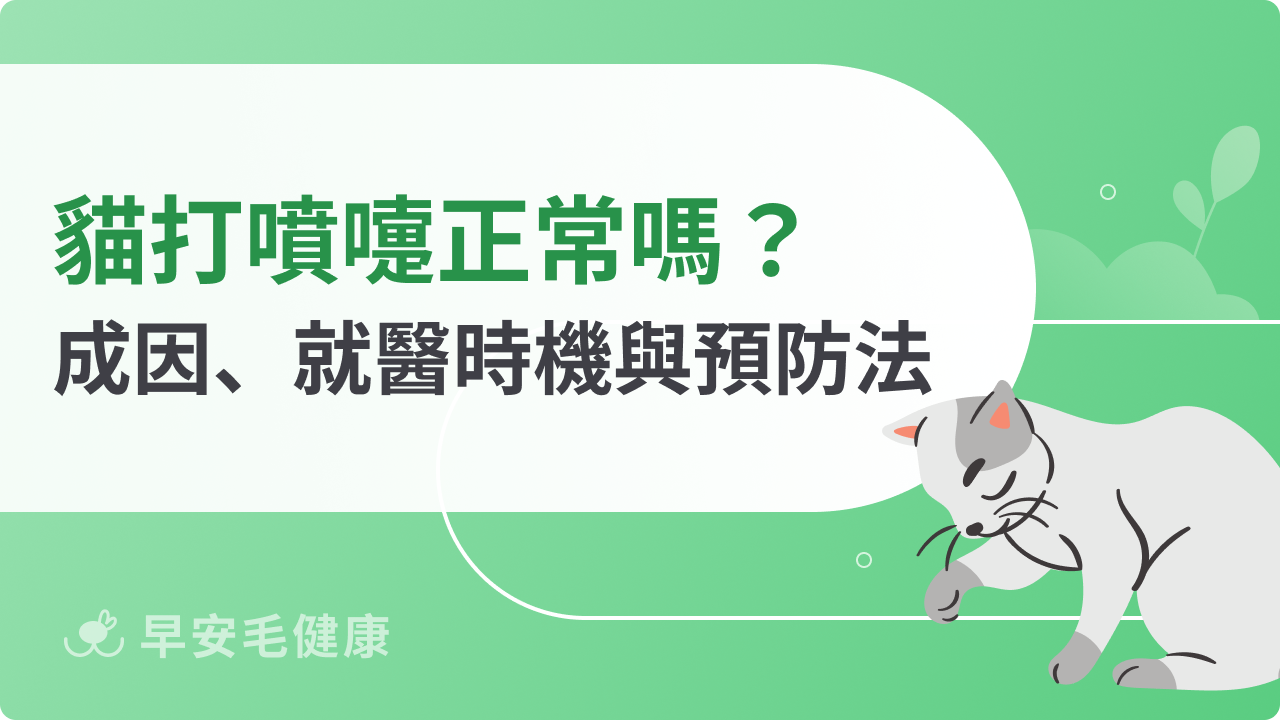 貓打噴嚏正常嗎?成因、就醫時機、居家照護&預防