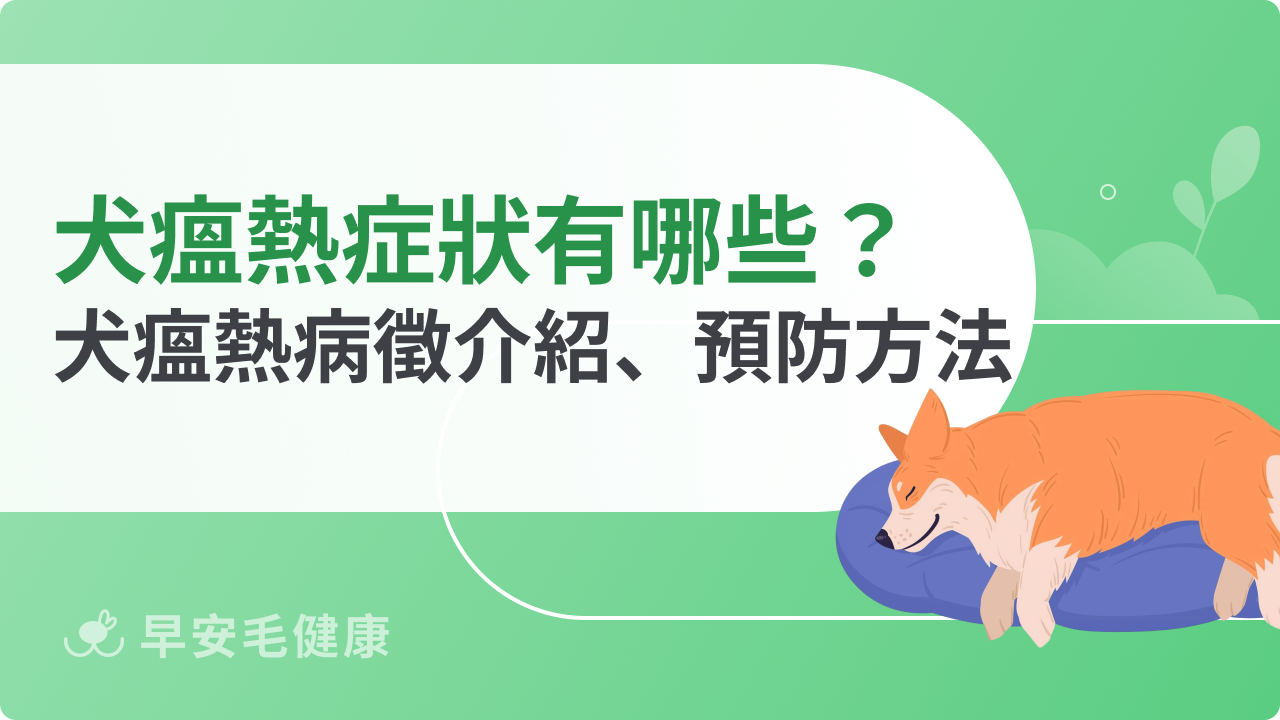 犬瘟熱症狀有哪些?毛爸媽必看犬瘟熱病徵介紹、預防方法指南