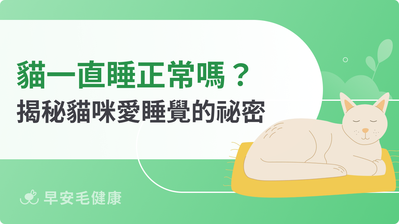 貓一直睡正常嗎?揭秘貓咪愛睡覺的祕密!