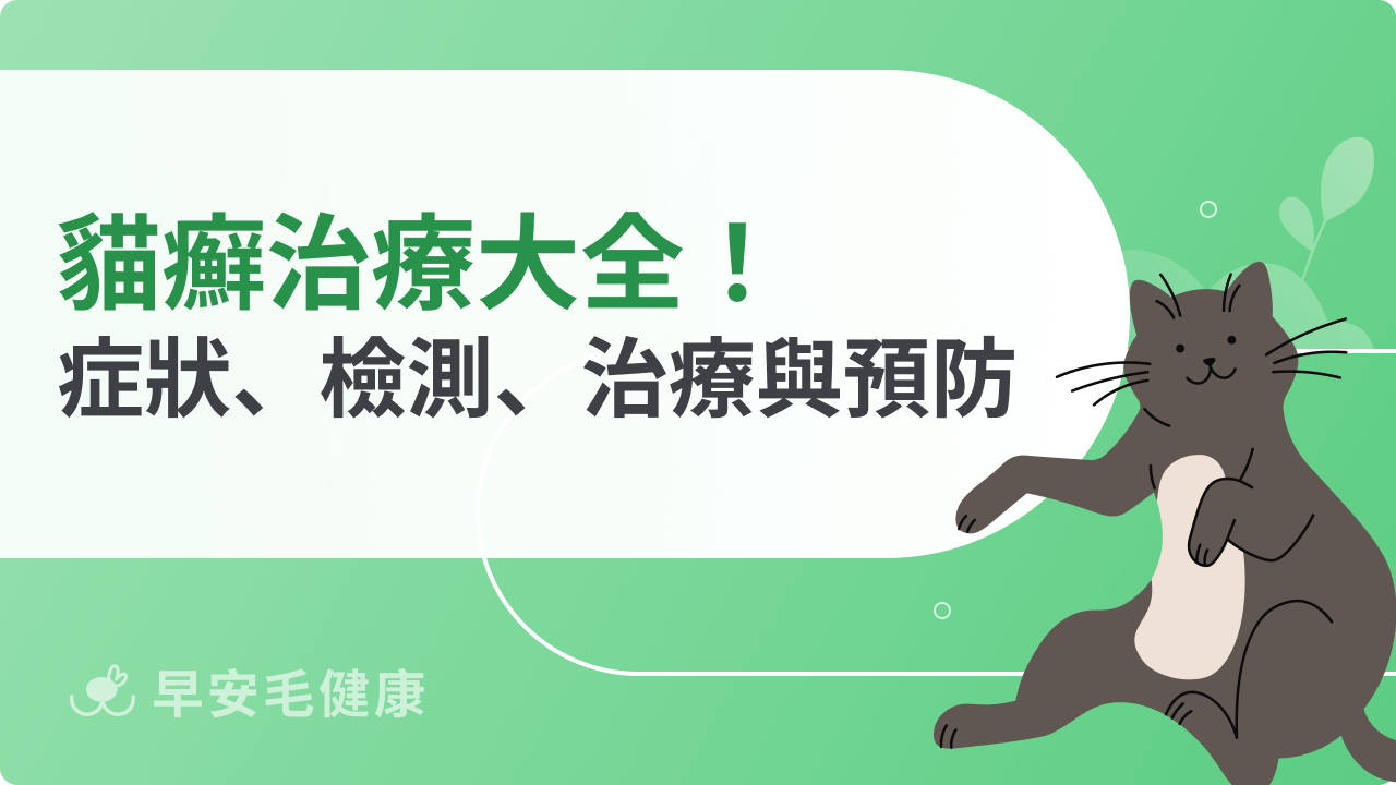 貓癬治療大全!症狀、檢測、藥物、照顧重點與預防方法一次看
