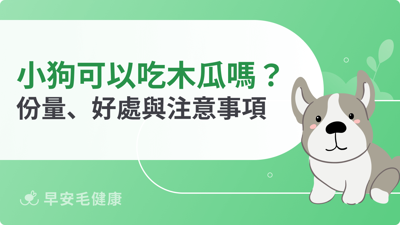 小狗可以吃木瓜嗎?安全餵食份量、營養好處與注意事項