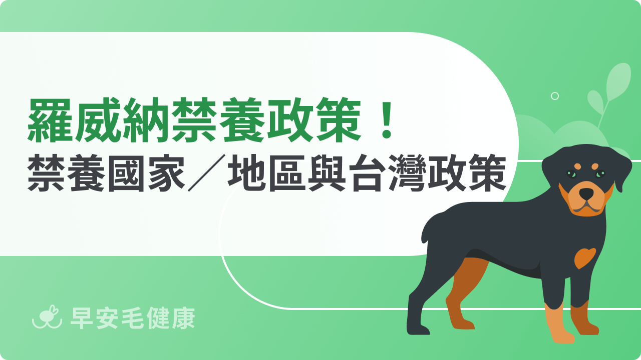 羅威納禁養是真的嗎?法律規範、飼養限制與最新政策整理