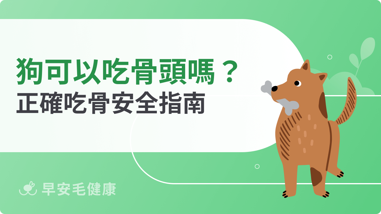 狗可以吃骨頭嗎?錯誤餵法恐致命!正確吃骨安全指南