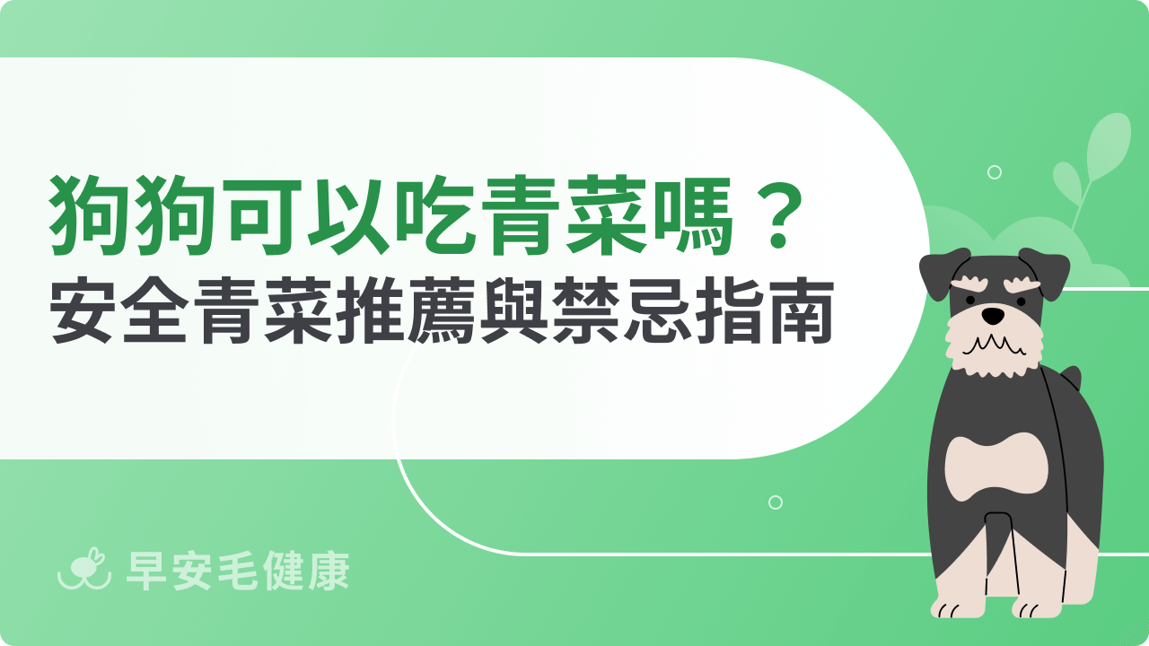 狗狗可以吃青菜嗎?常見安全青菜推薦與需避免的種類指南