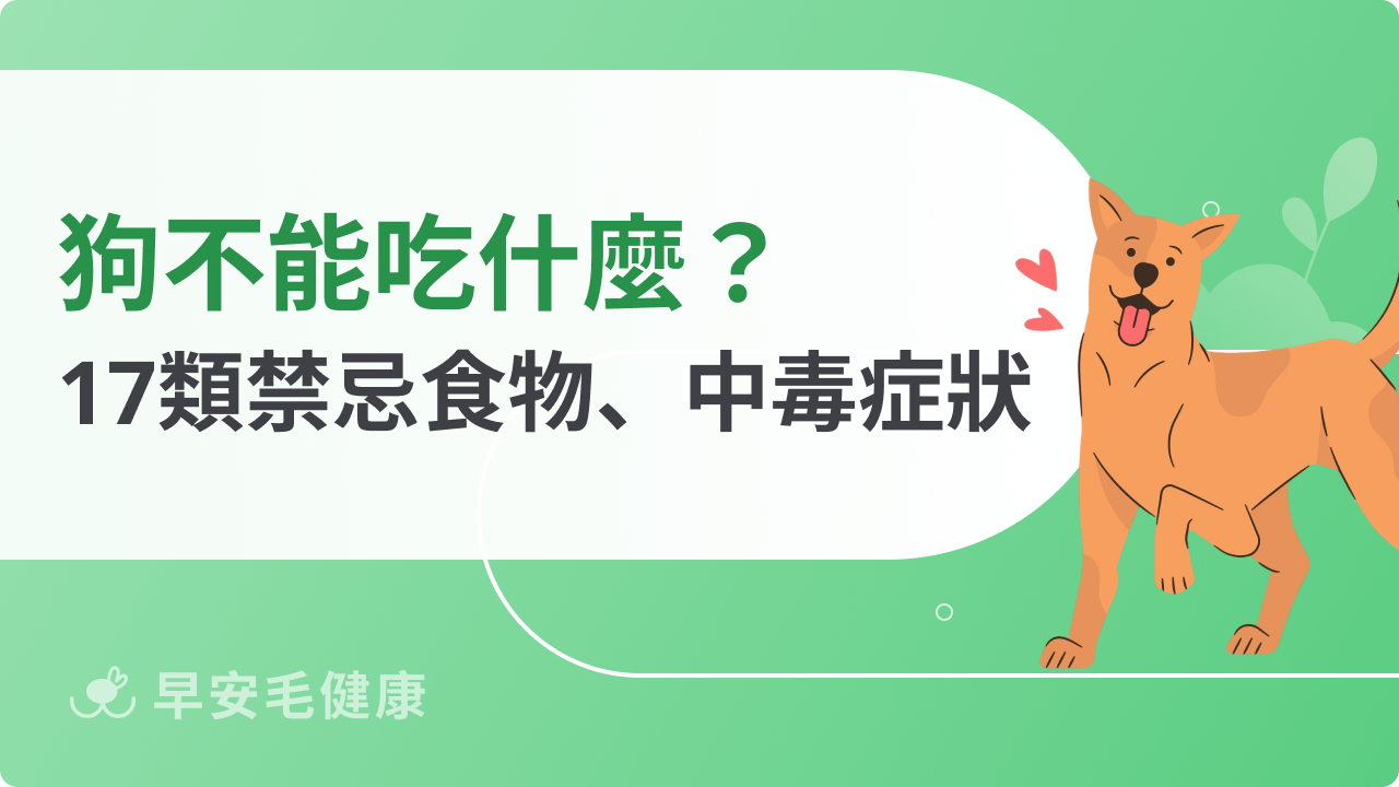 狗不能吃什麼?17類禁忌食物清單、5大中毒症狀小百科!