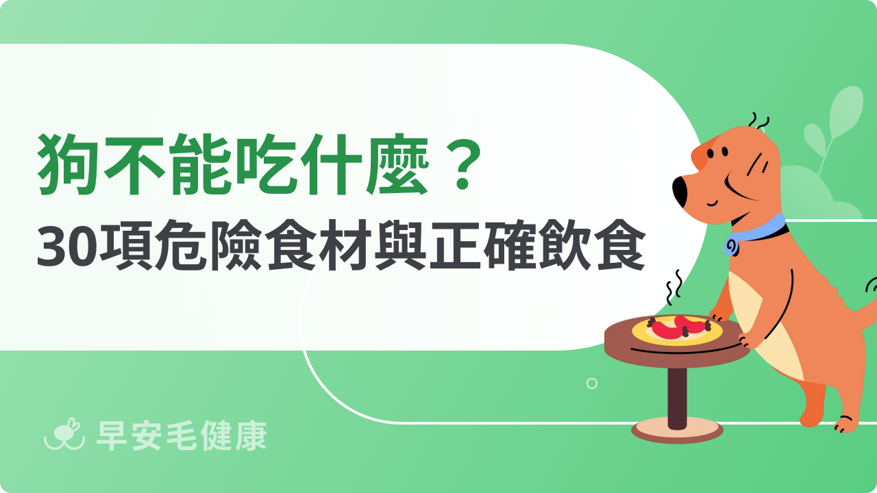 狗不能吃什麼?完整30種危險食材與正確飲食指南
