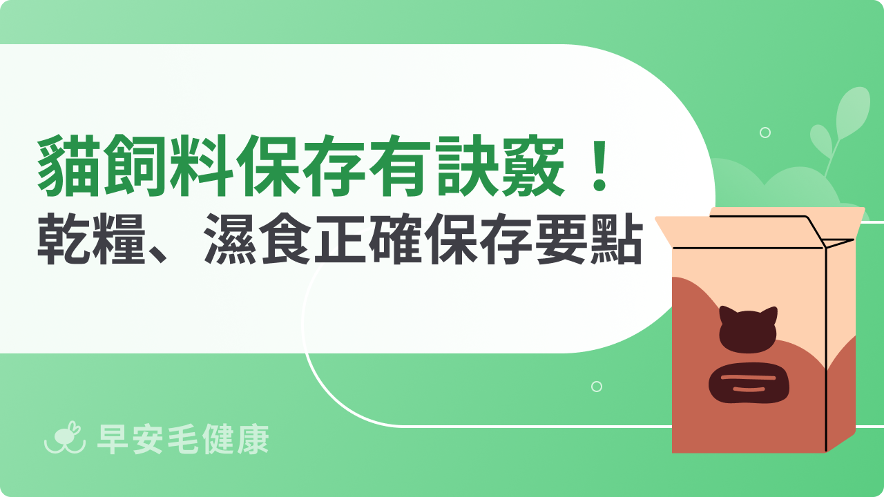 貓飼料保存有訣竅!乾糧、濕食正確保存要點一次看