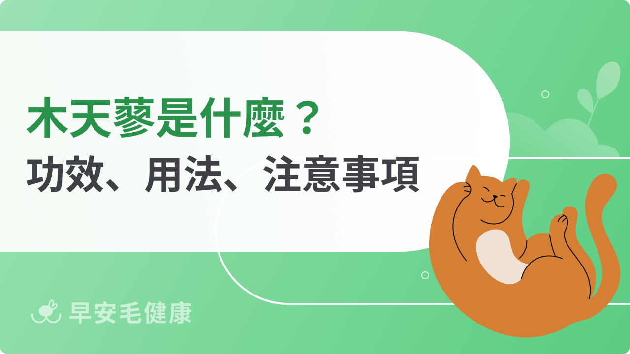 木天蓼是什麼?貓奴必知的木天蓼功效、用法、常見問題解答