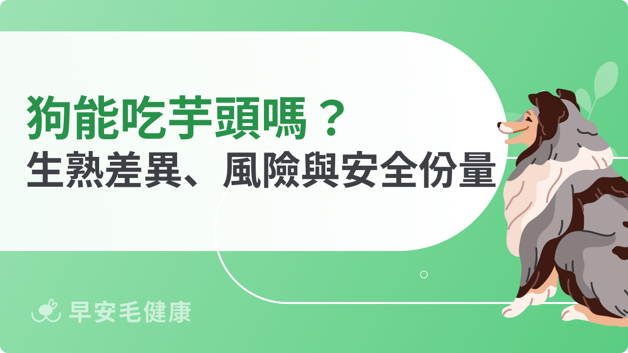 狗可以吃芋頭嗎?生熟差異、餵食風險與安全份量指南