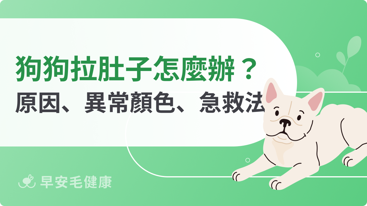 狗狗拉肚子怎麼辦?判斷原因、便便顏色、照護方式一次看!