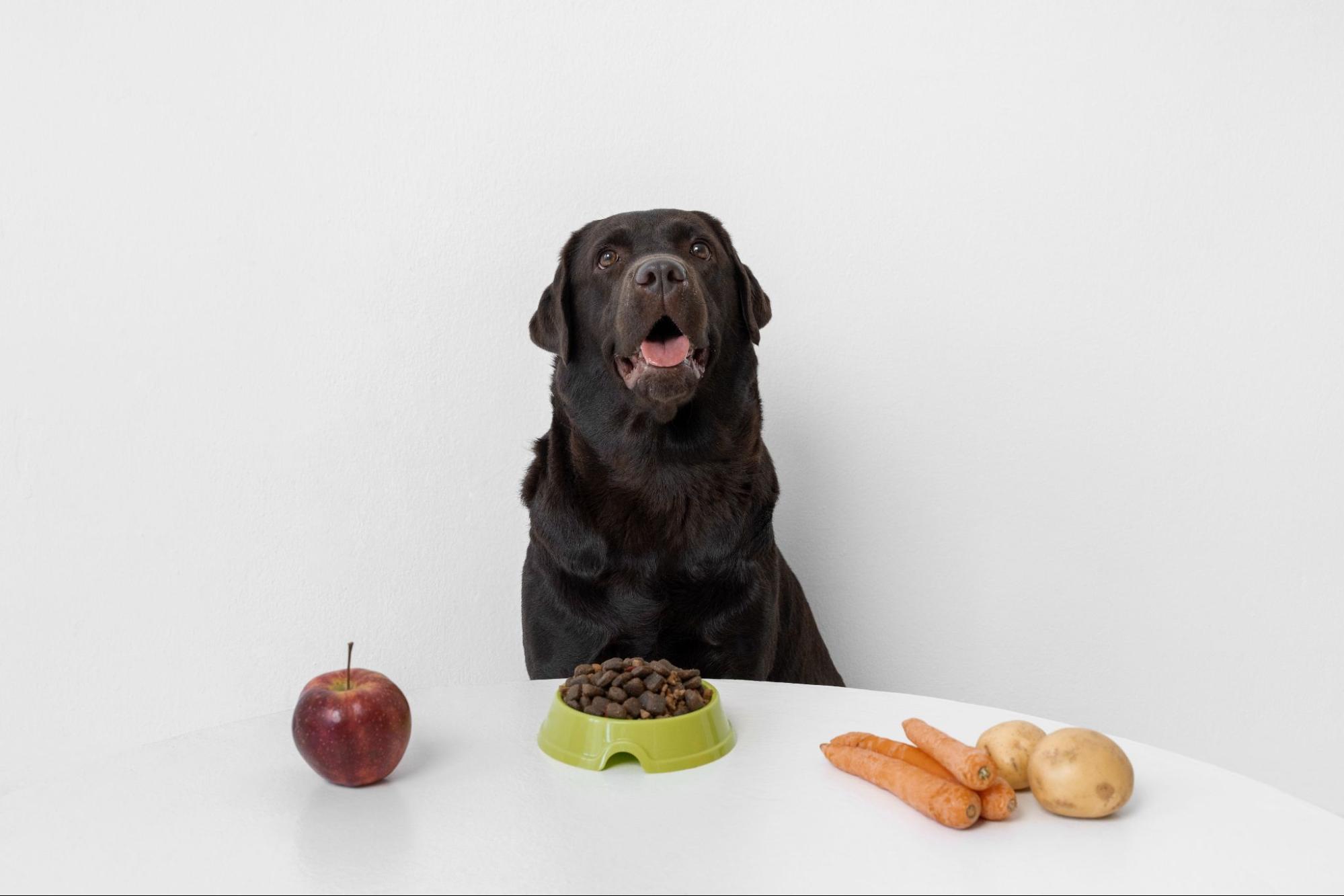 184. AI - can-dogs-eat-sweet-potatoes-1