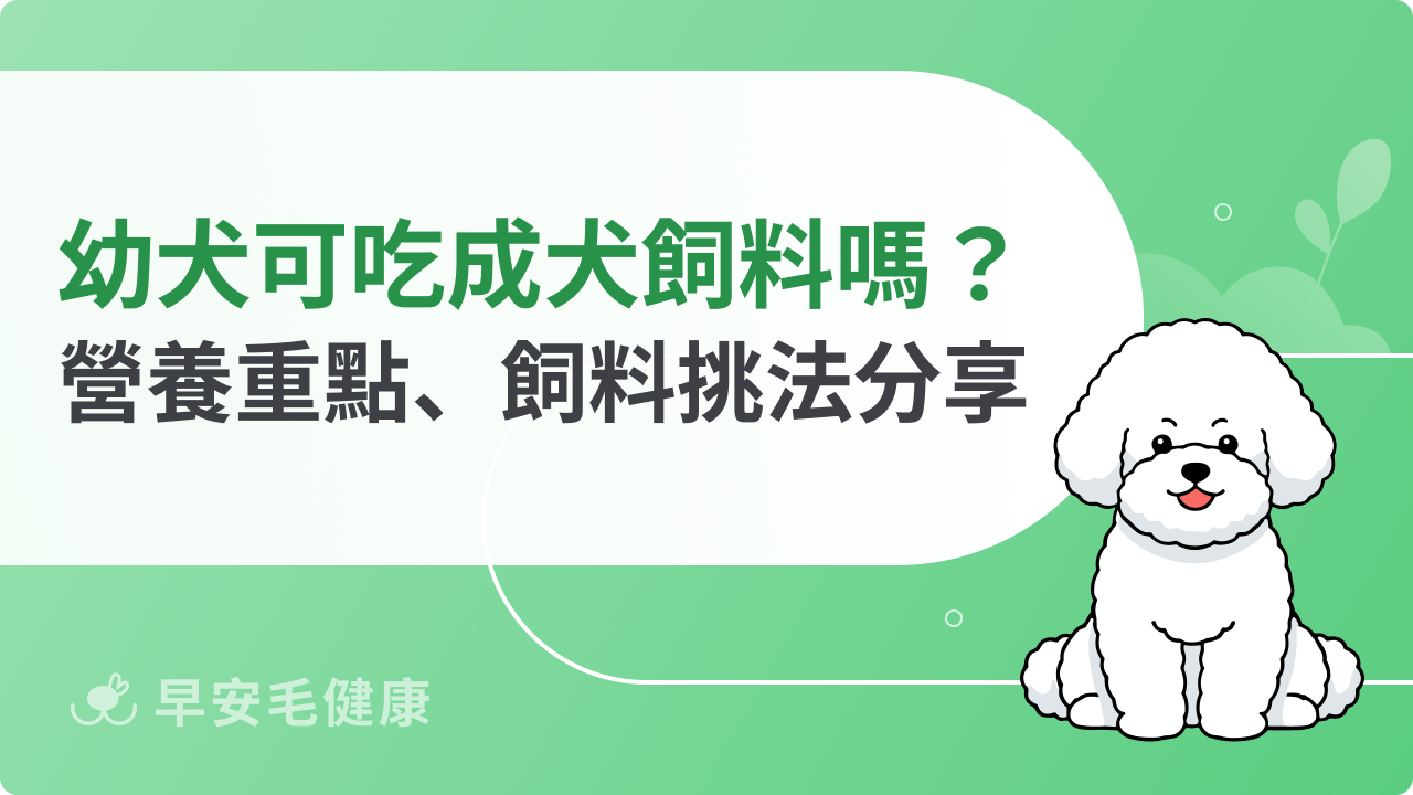 幼犬吃成犬飼料會營養不良嗎?幼犬營養重點、飼料挑選方法分享