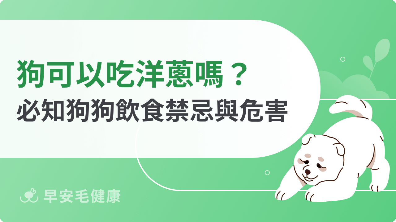 狗可以吃洋蔥嗎?毛爸媽必知的狗狗飲食禁忌與危害