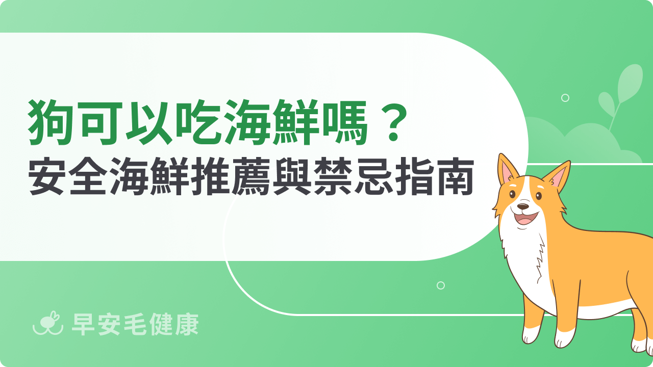 狗可以吃海鮮嗎?營養好處、常見過敏風險與注意事項全攻略