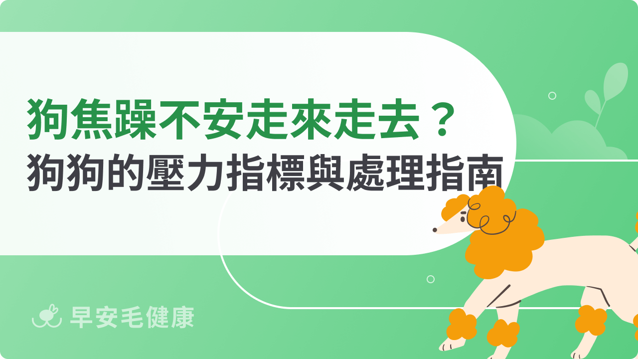 狗狗焦躁不安走來走去?狗狗的壓力指標與處理指南