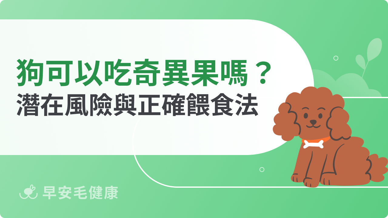 狗可以吃奇異果嗎?潛在食用風險與餵食方法分享