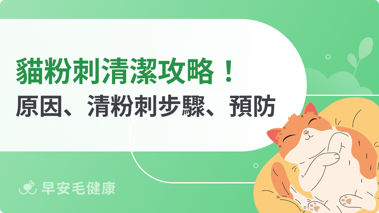 貓粉刺別亂擠!一文掌握正確清潔與照護方法,守護毛孩皮膚健康