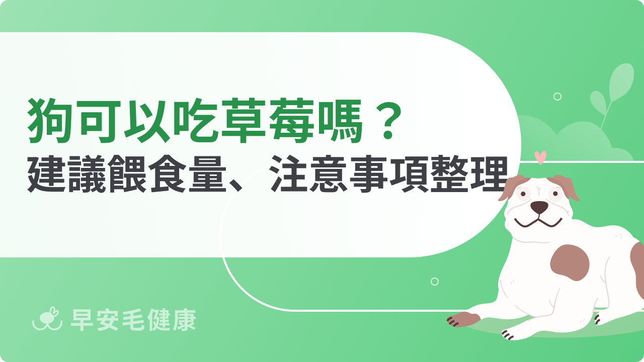 狗可以吃草莓嗎?建議餵食量、注意事項總整理